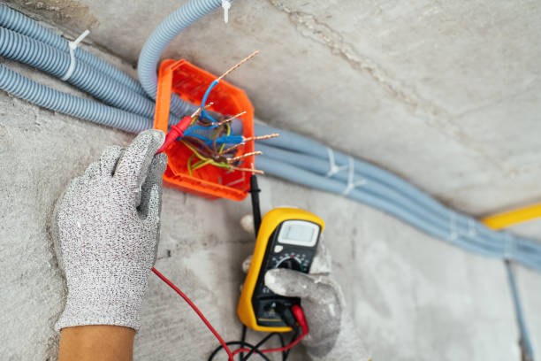 Best Electrician for Home Renovation  in Gasport, NY